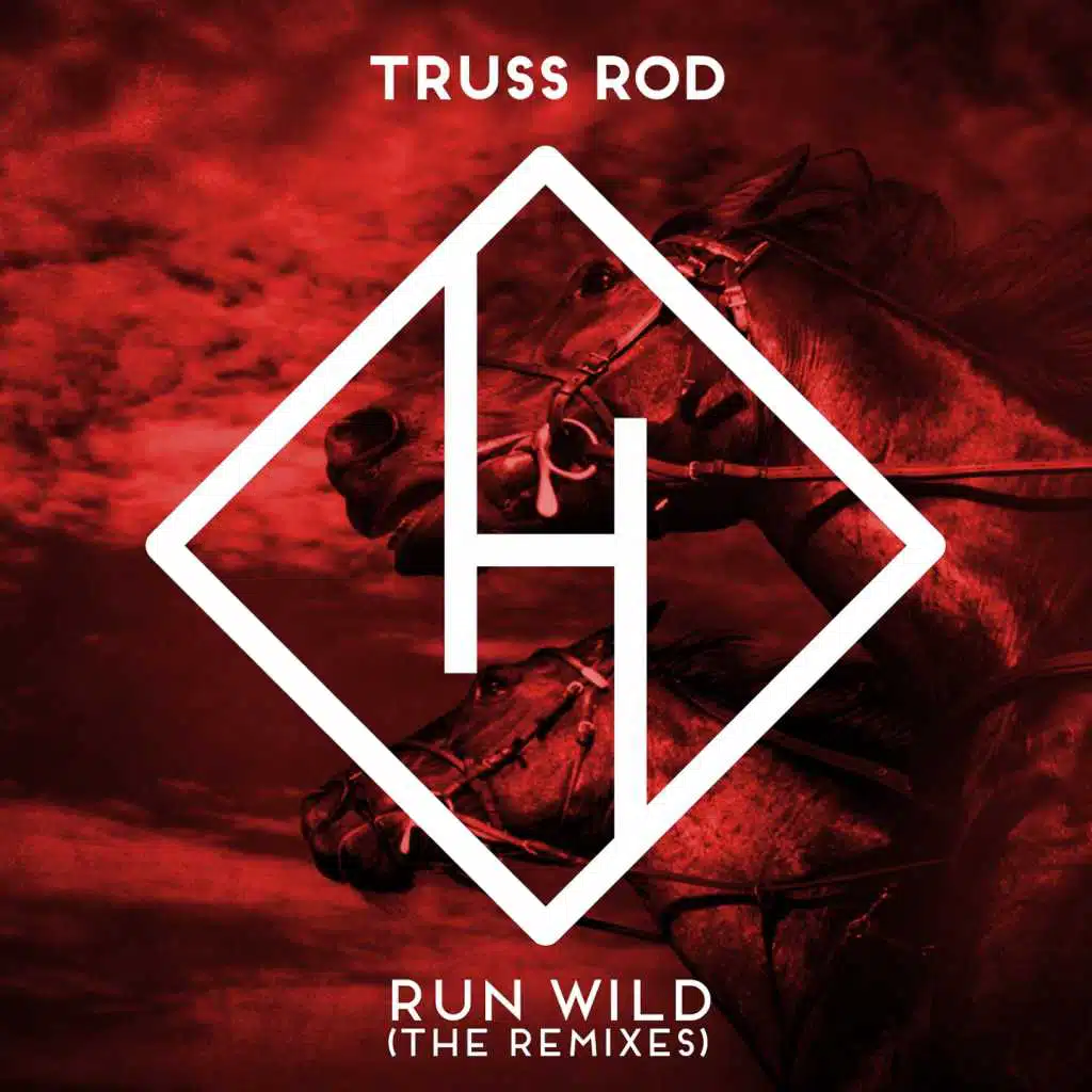 Run Wild (Marco Dassi Remix) [feat. Marco Dessi]
