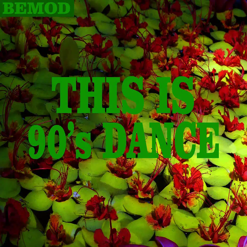 This Is 90's Dance