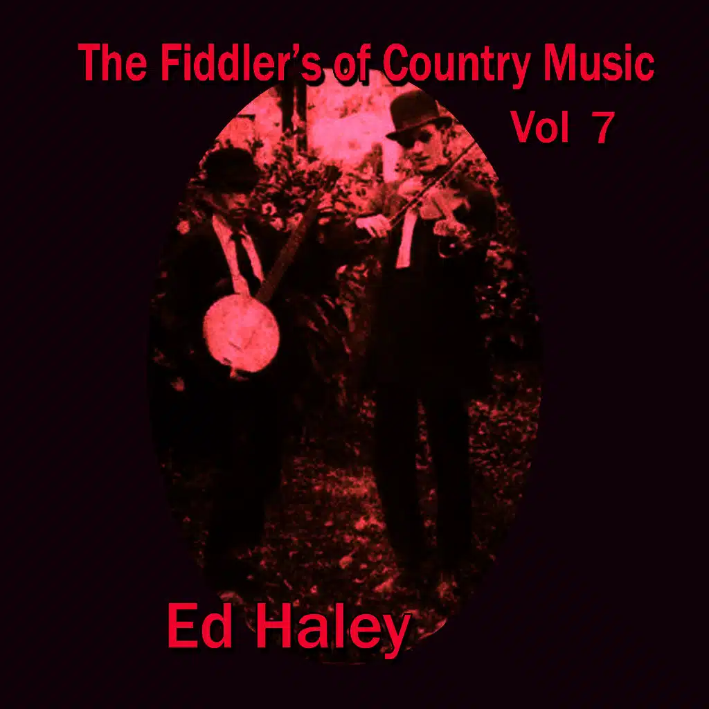The Fiddler's of Country Music, Vol. 7