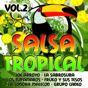 Salsa Tropical Vol. 2