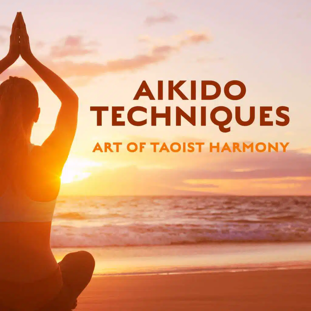 Aikido Techniques