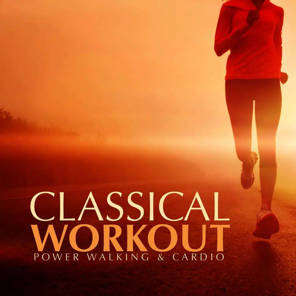 Eine Kleine Nachtmusik