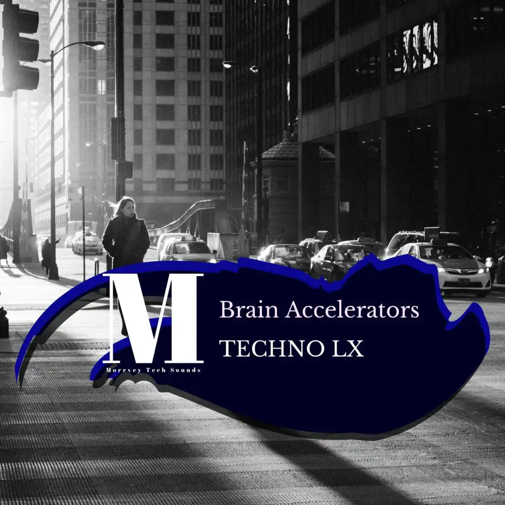 Brain Accelerators