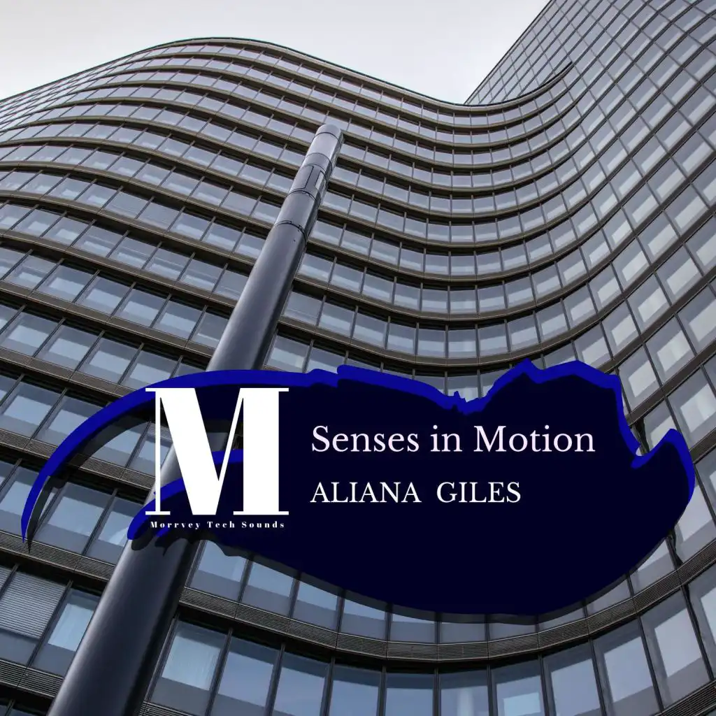 Senses In Motion