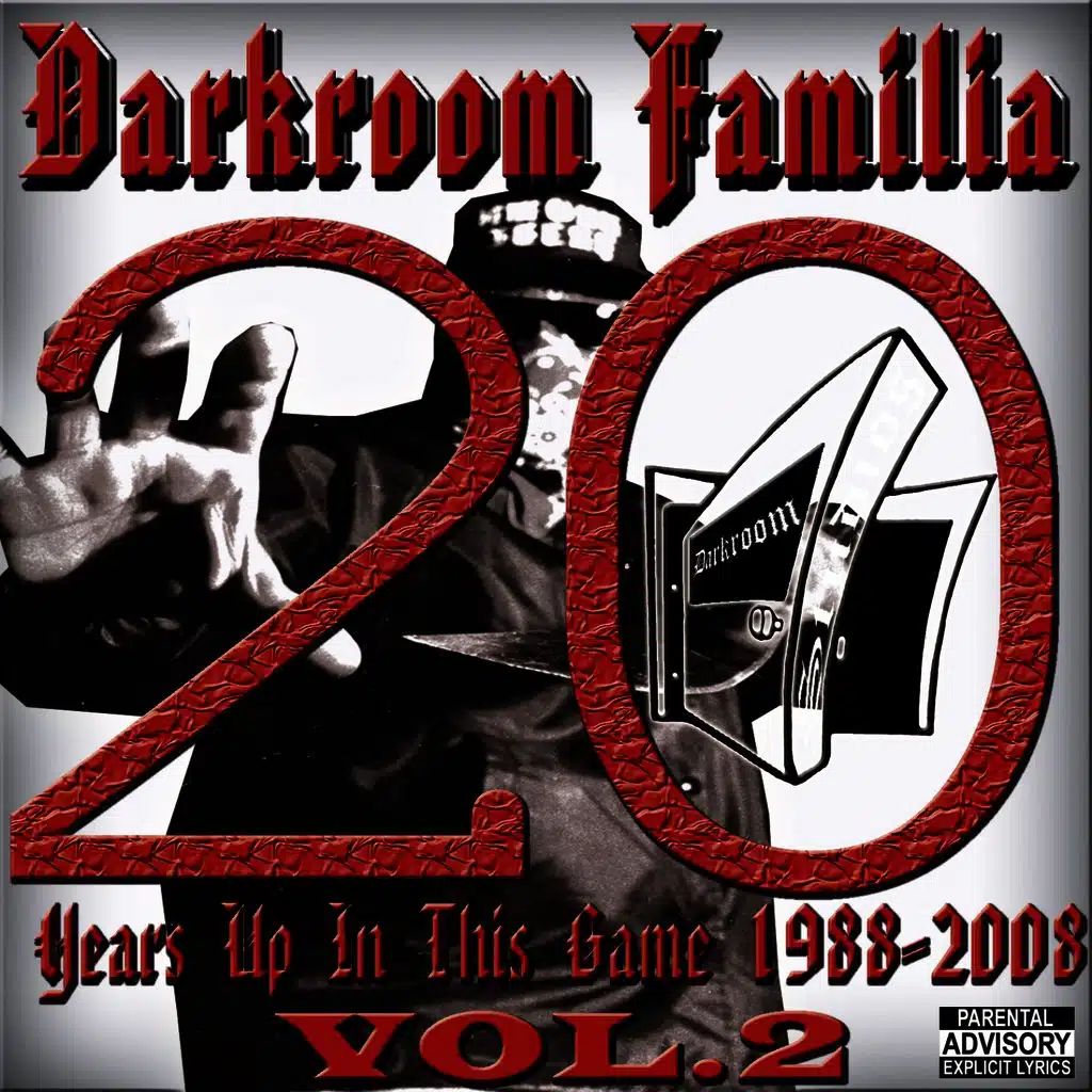 20 Years Up in This Game Vol 2