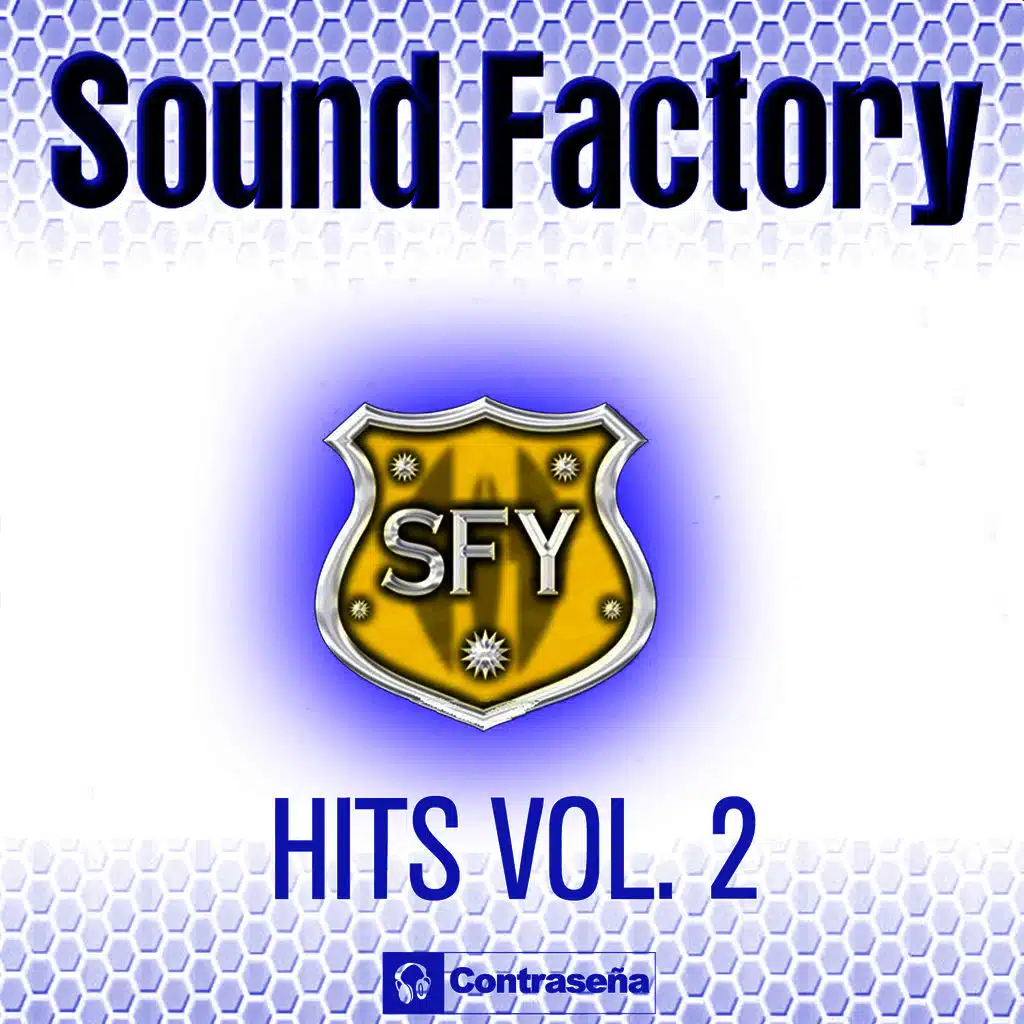 Sound Factory Hits Vol.2