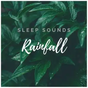 #Rain and #Forest Sounds for Sleep