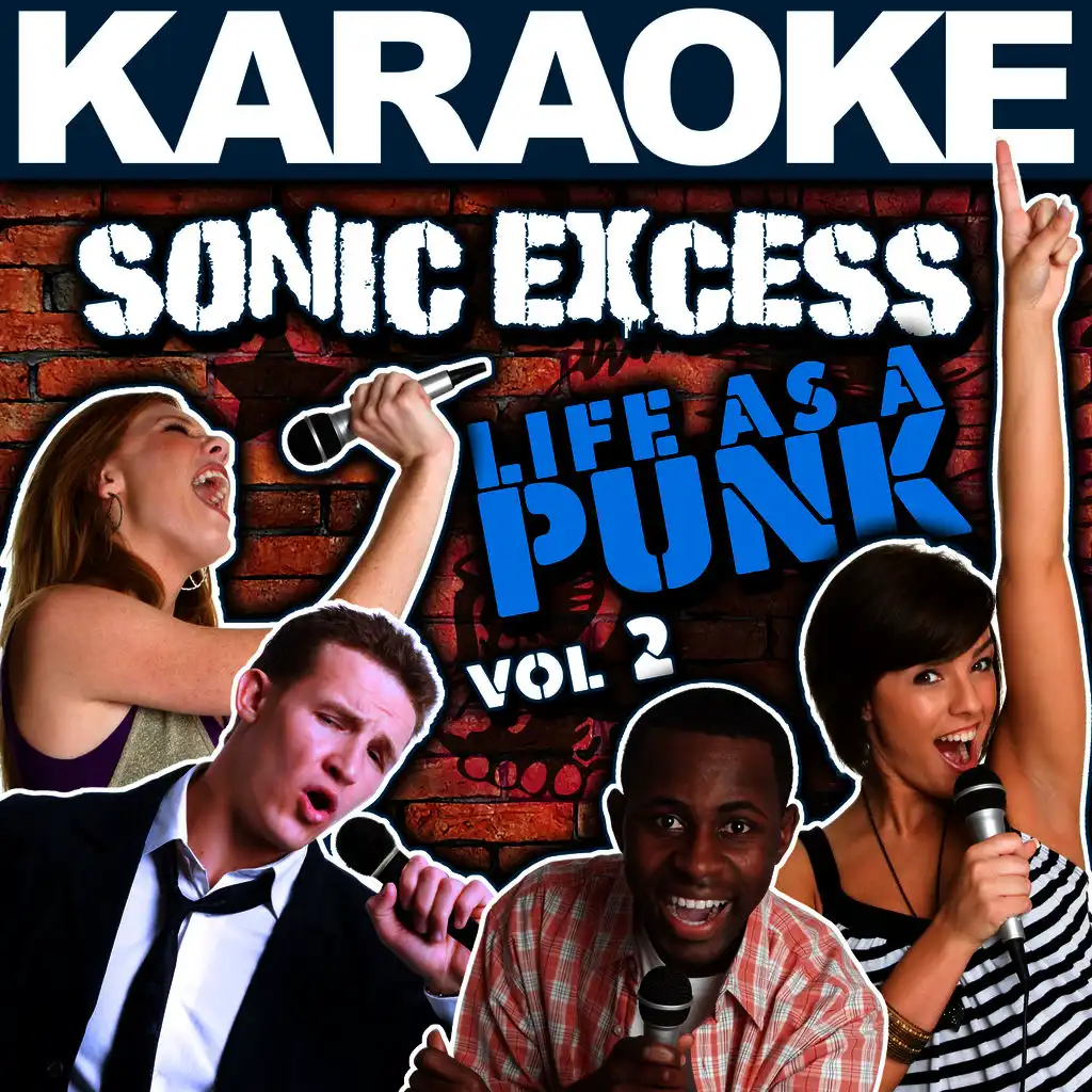 Karaoke Sonic Excess: Life as a Punk, Vol. 2