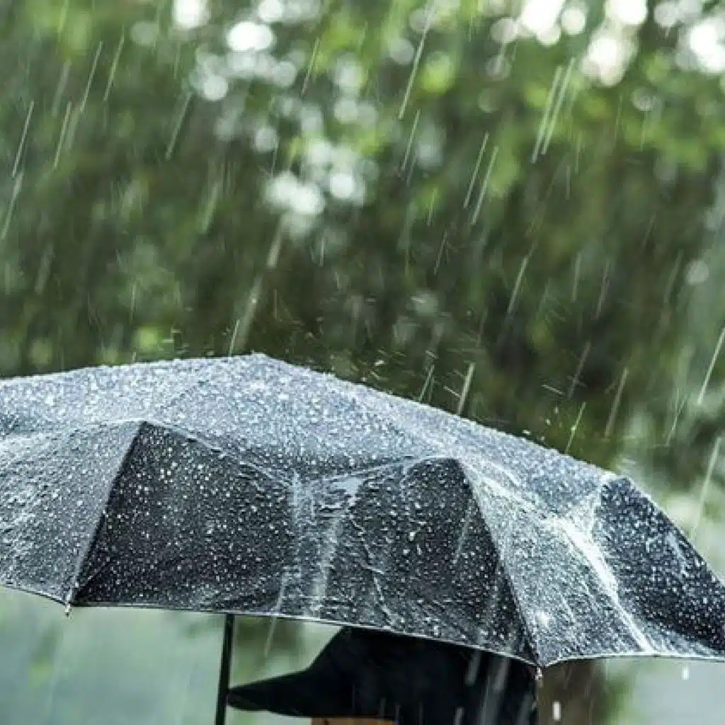 Rain