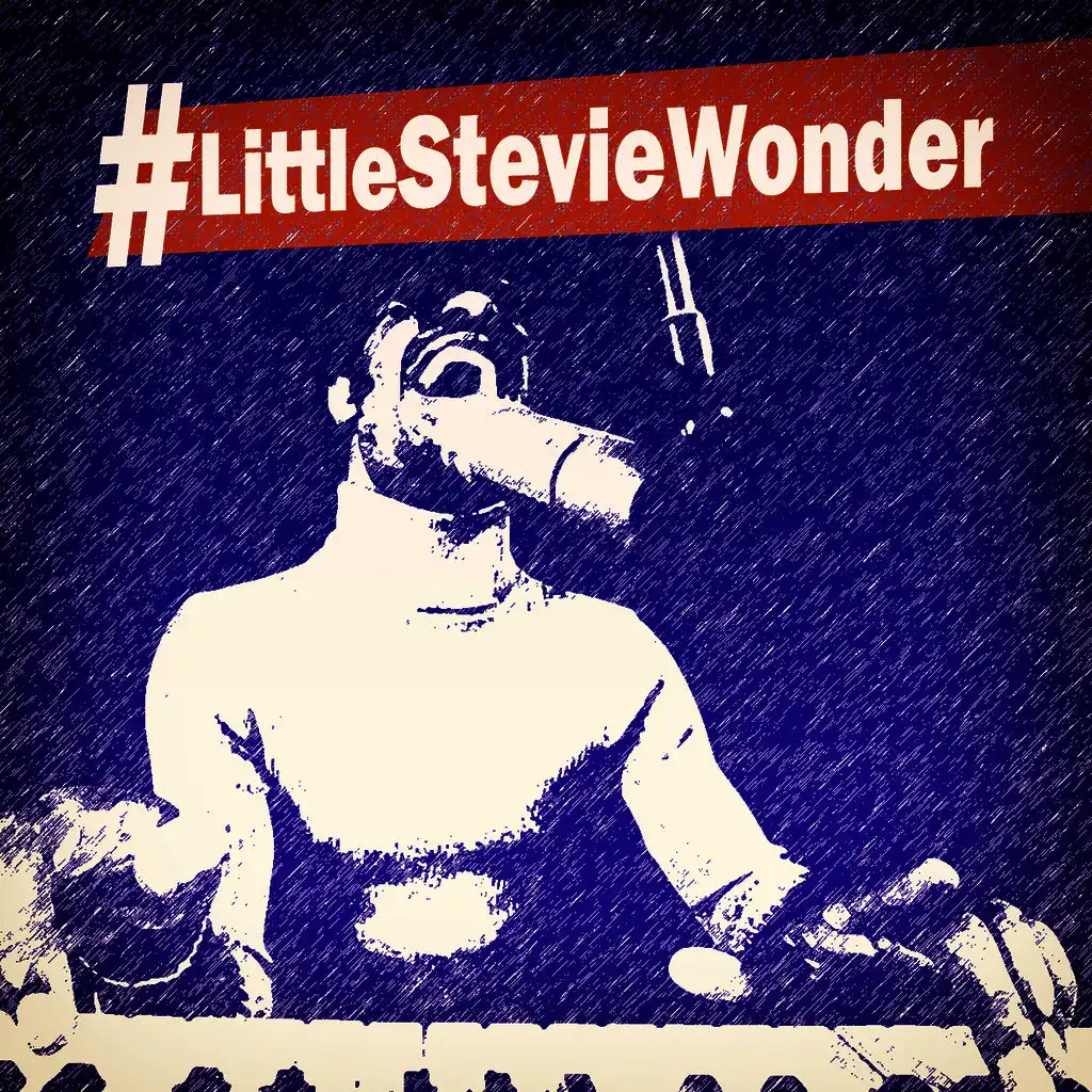#littlesteviewonder