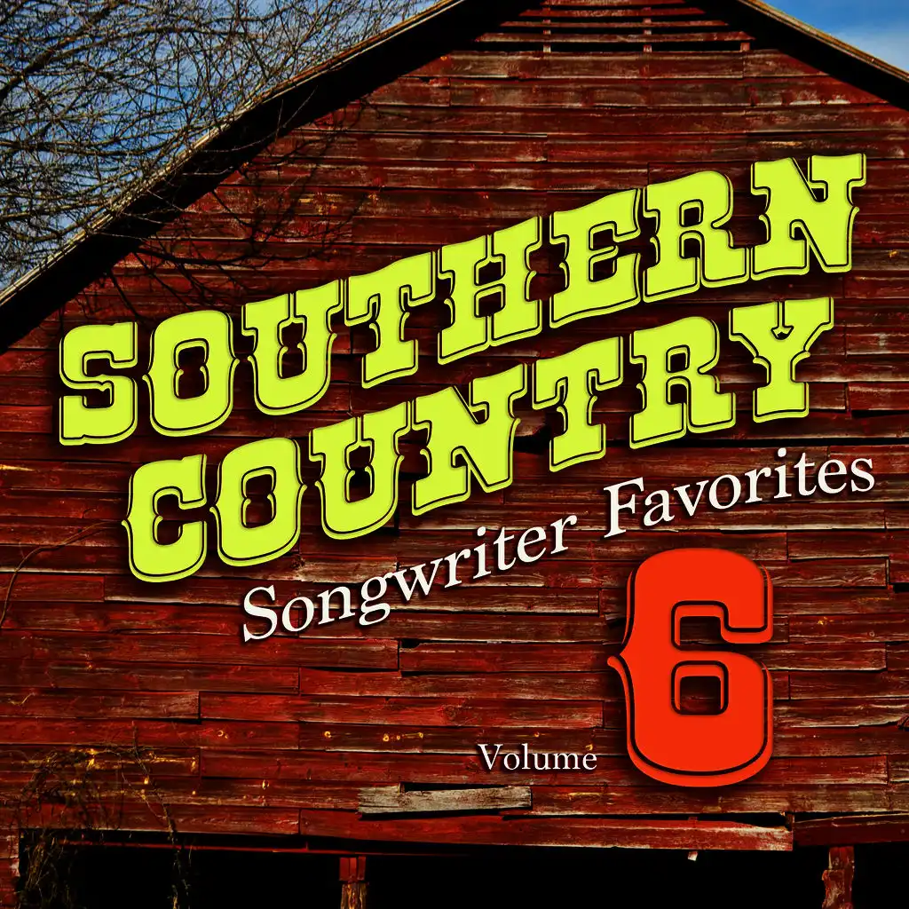 Southern Country Songwriter Favorites, Vol. 6