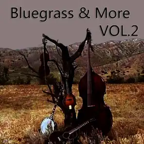 Bluegrass & More, Vol. 2