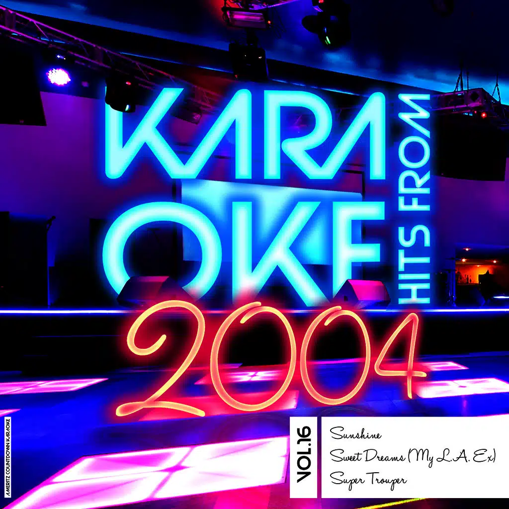 Karaoke Hits from 2004, Vol. 16