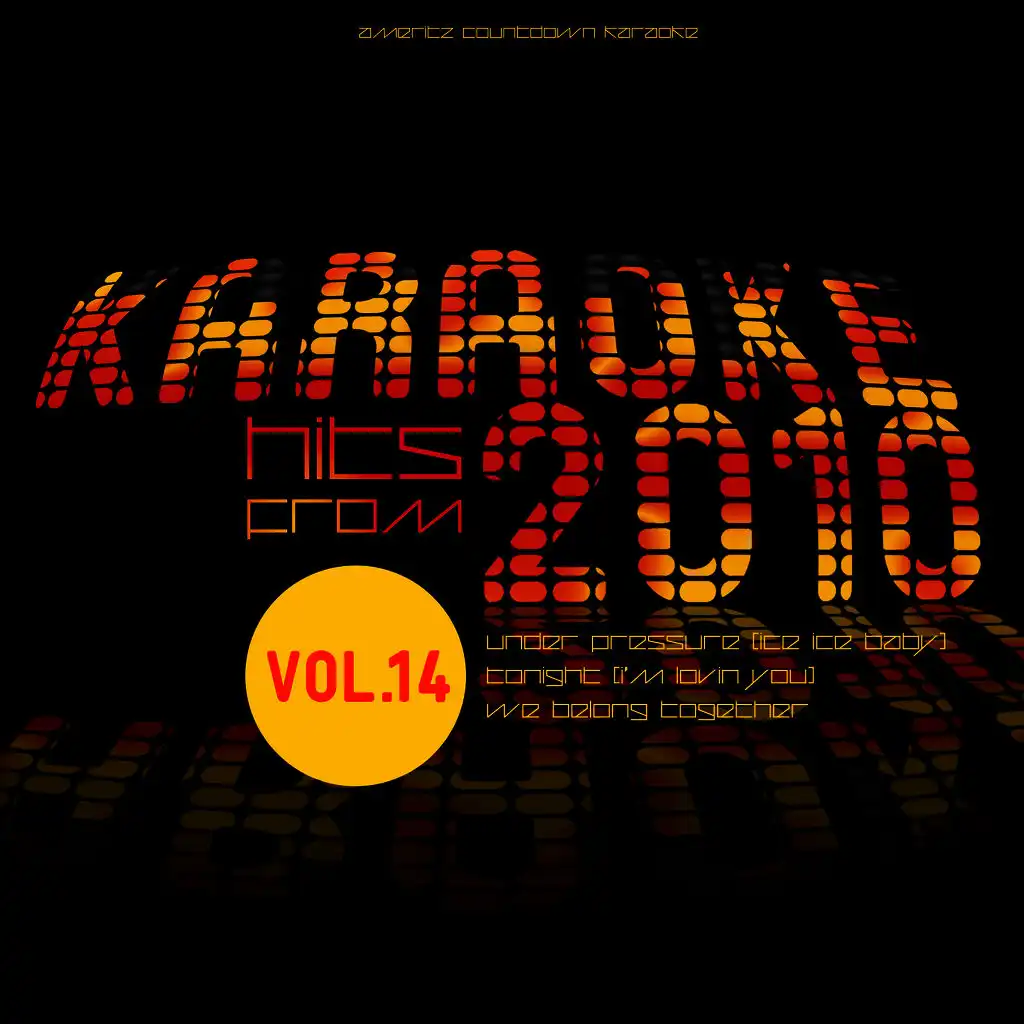 Karaoke Hits from 2010, Vol. 14