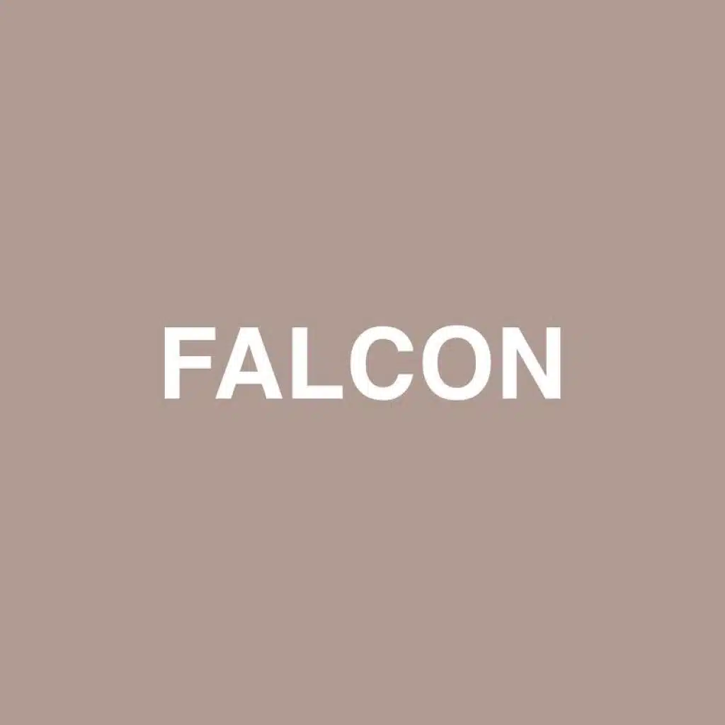Falcon (feat. Raury)