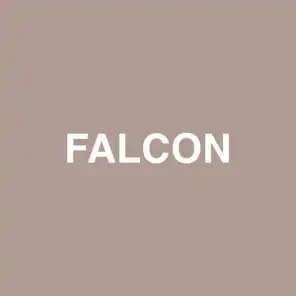 Falcon (feat. Raury)