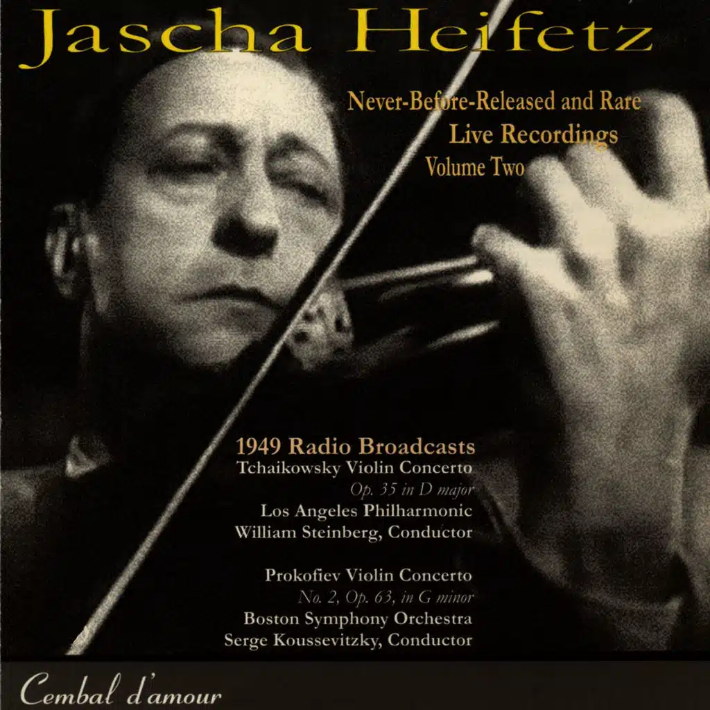 Violin Concerto No. 2  in G Minor, Op. 63: Allegro moderato