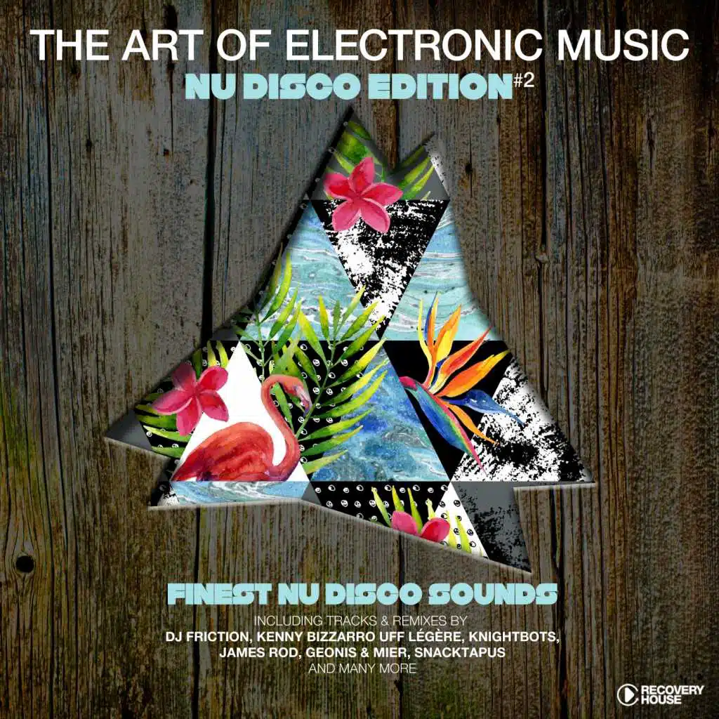 The Art of Electronic Music - Nu Disco Edition