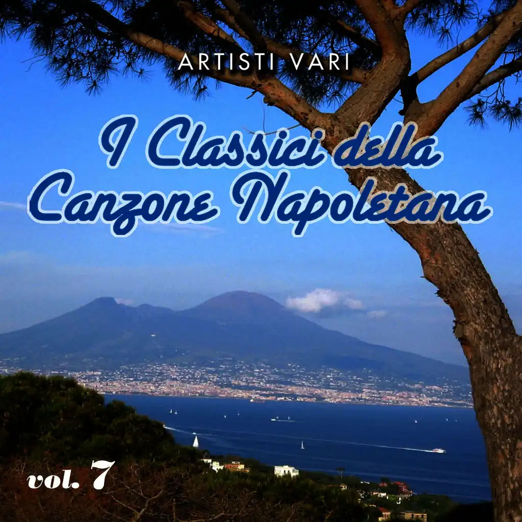 I classici della canzone napoletana - Vol. 7