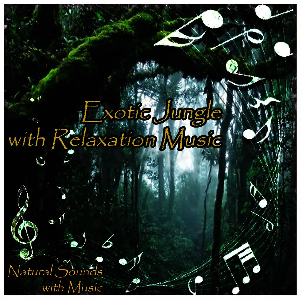 Exotic Jungle with Relaxation Music
