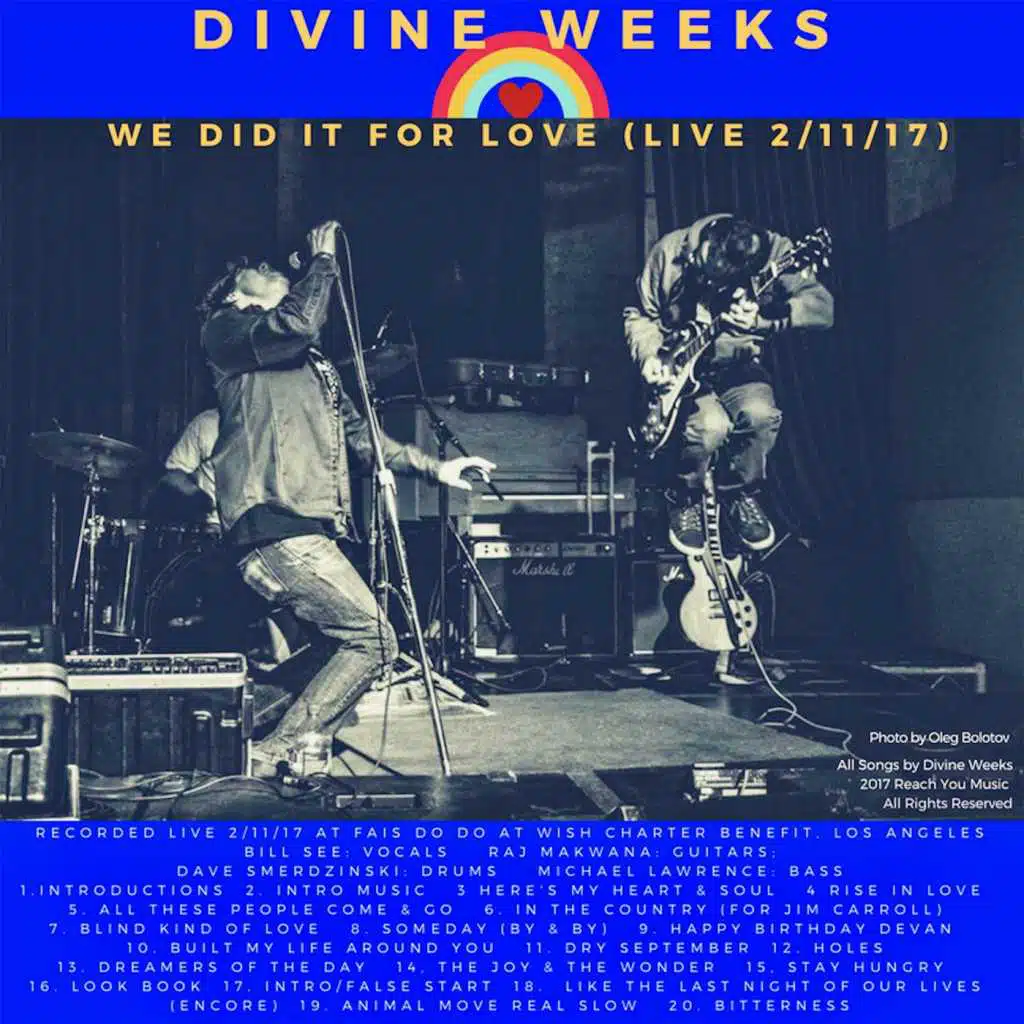 We Did It for Love (Live)