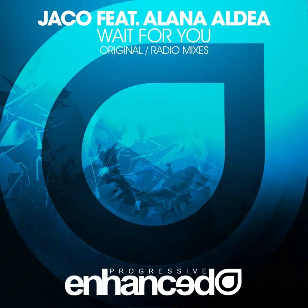 Wait For You (Radio Mix) [feat. Alana Aldea]