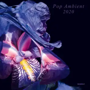 Pop Ambient 2020 (continuous Mix)