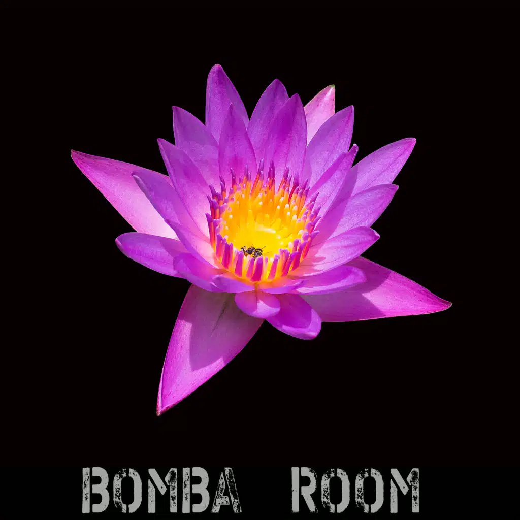 Sergii Petrenko, Lel