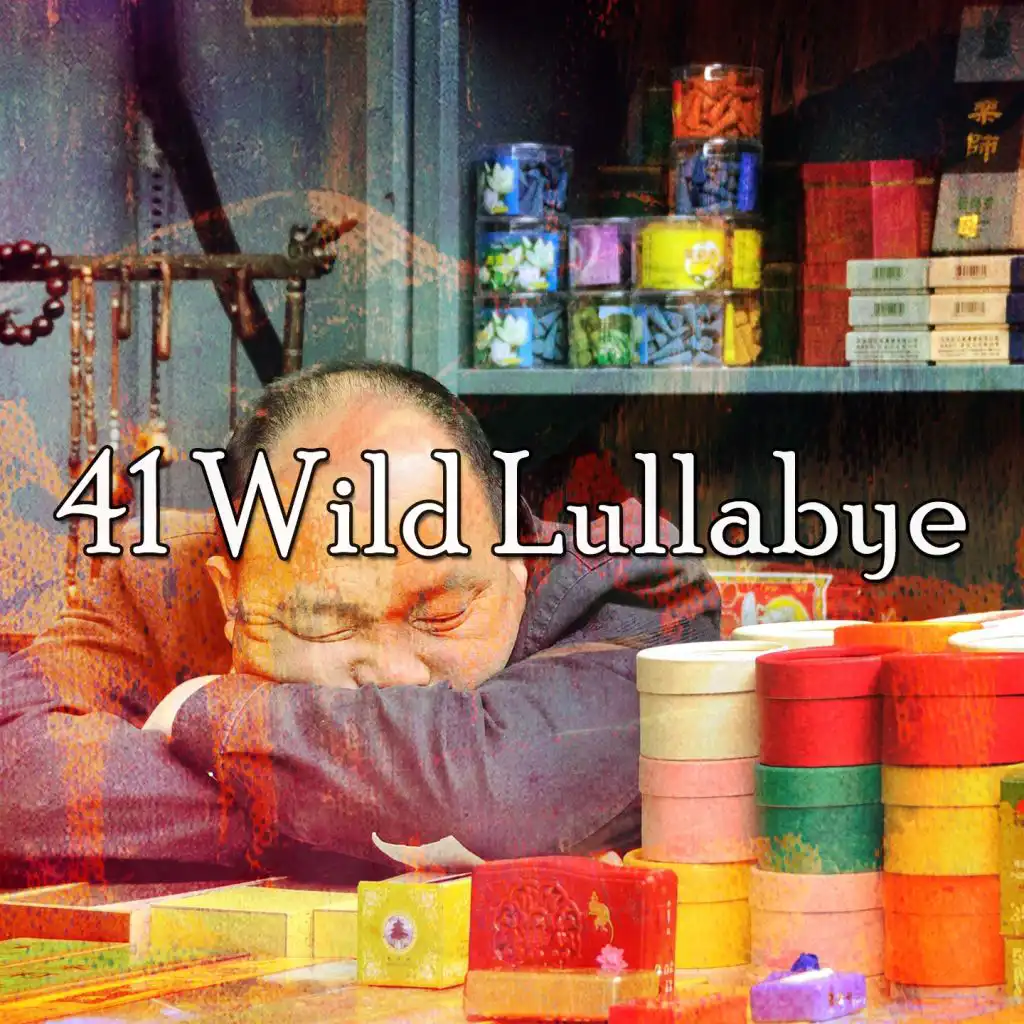 41 Wild Lullabye