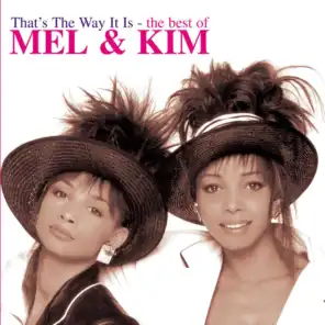 That's The Way It Is: The Best of Mel & Kim