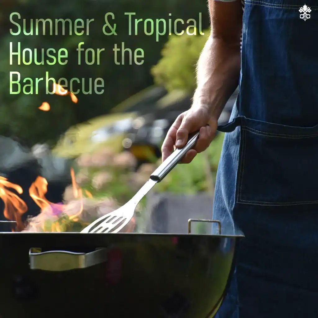 Summer & Tropical House for the Barbecue