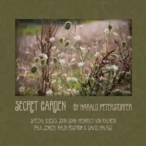 Secret Garden (feat. John Doan)