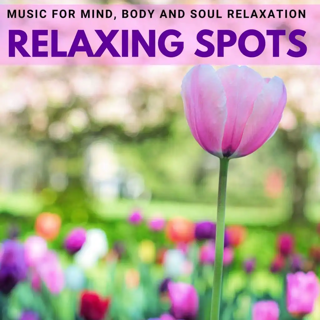 Relaxing Spots - Music for Mind, Body and Soul Relaxation