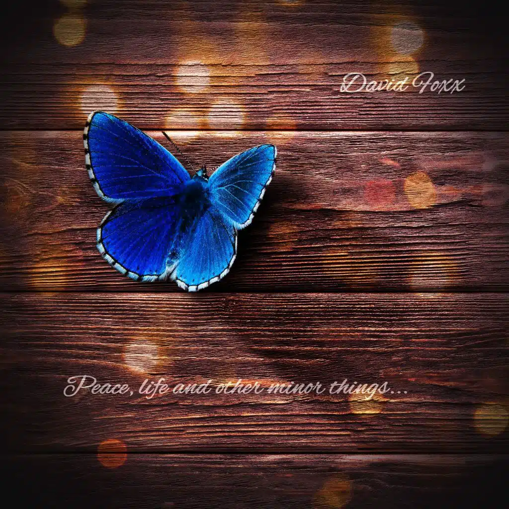 Peace, Life and Other Minor Things...