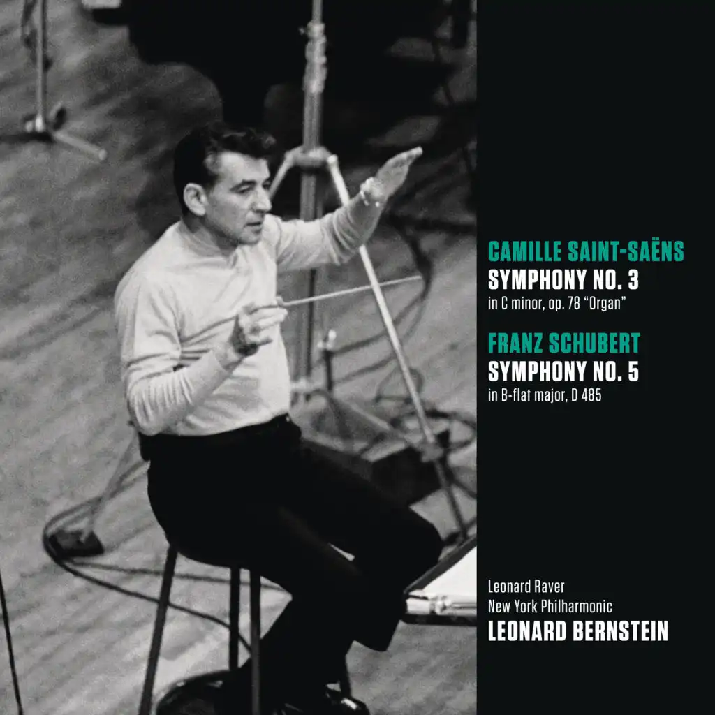 Symphony No. 3 in C Minor, Op. 78, R. 176 "Organ": Ib. Allegro moderato