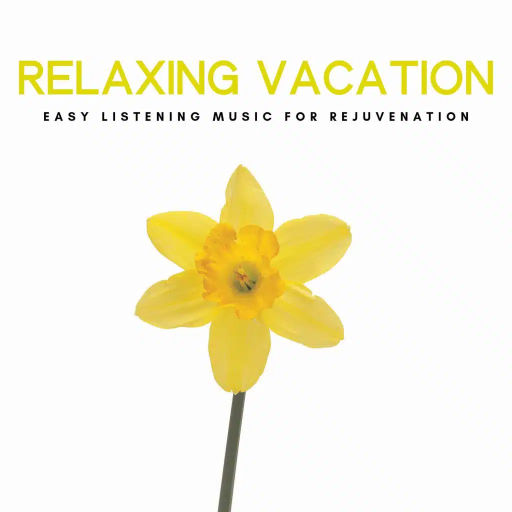 Window of Grey Light