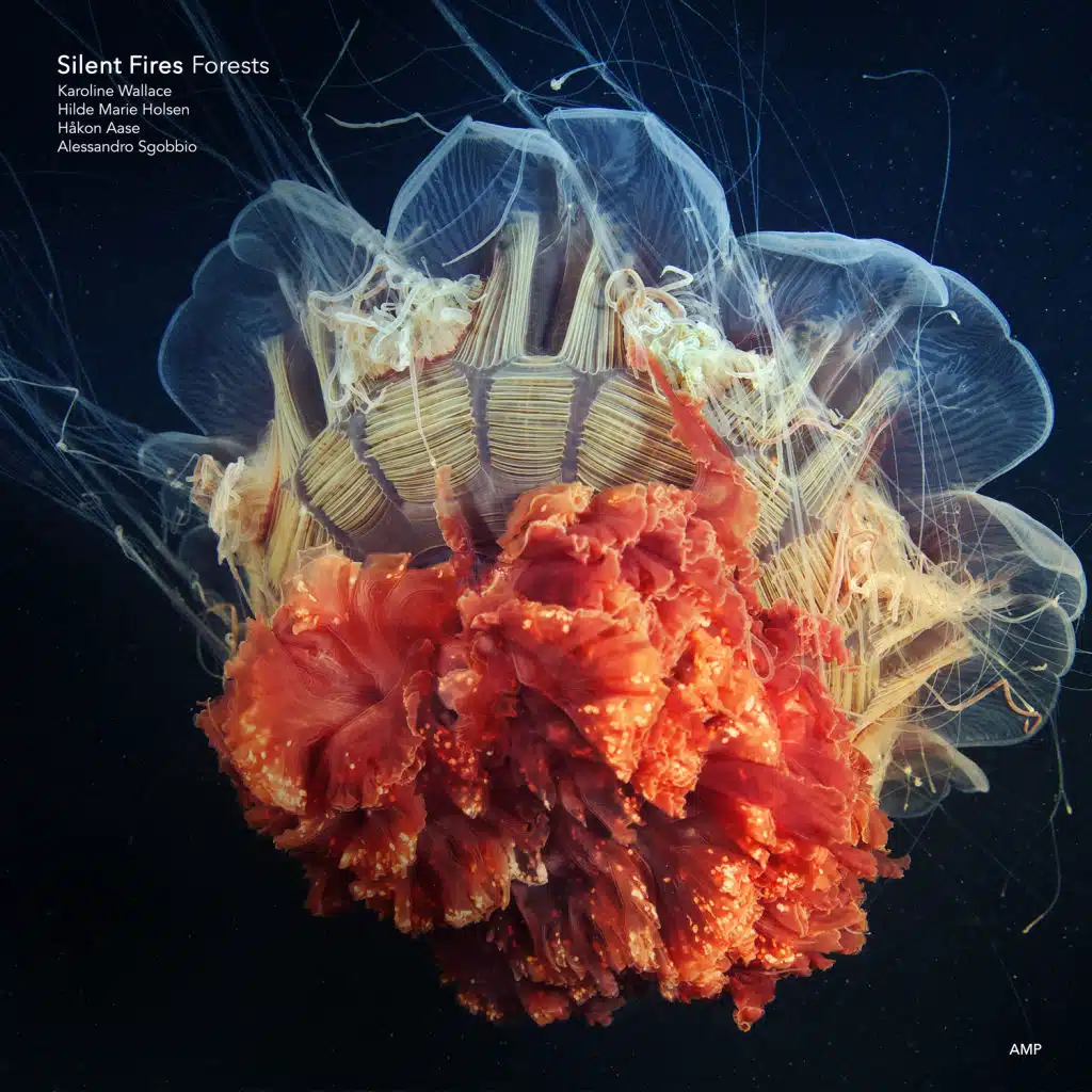 Silent Fires (feat. Karoline Wallace, Håkon Aase, Alessandro Sgobbio & Hilde Marie Holsen)