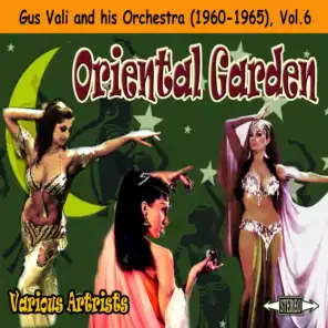 Oriental Garden: Gus Vali and his Orchestra (1960-1965), Vol. 6