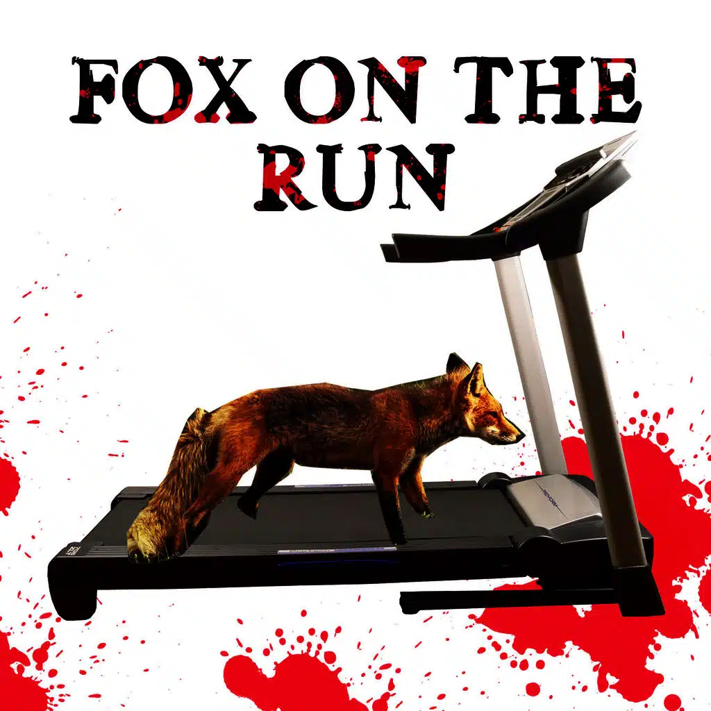 Fox on the Run