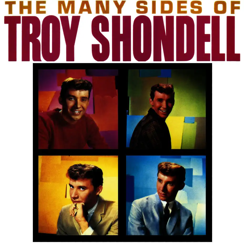 The Many Sides Of Troy Shondell