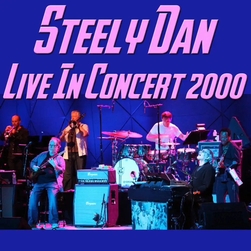 Steely Dan Live in Concert 2000
