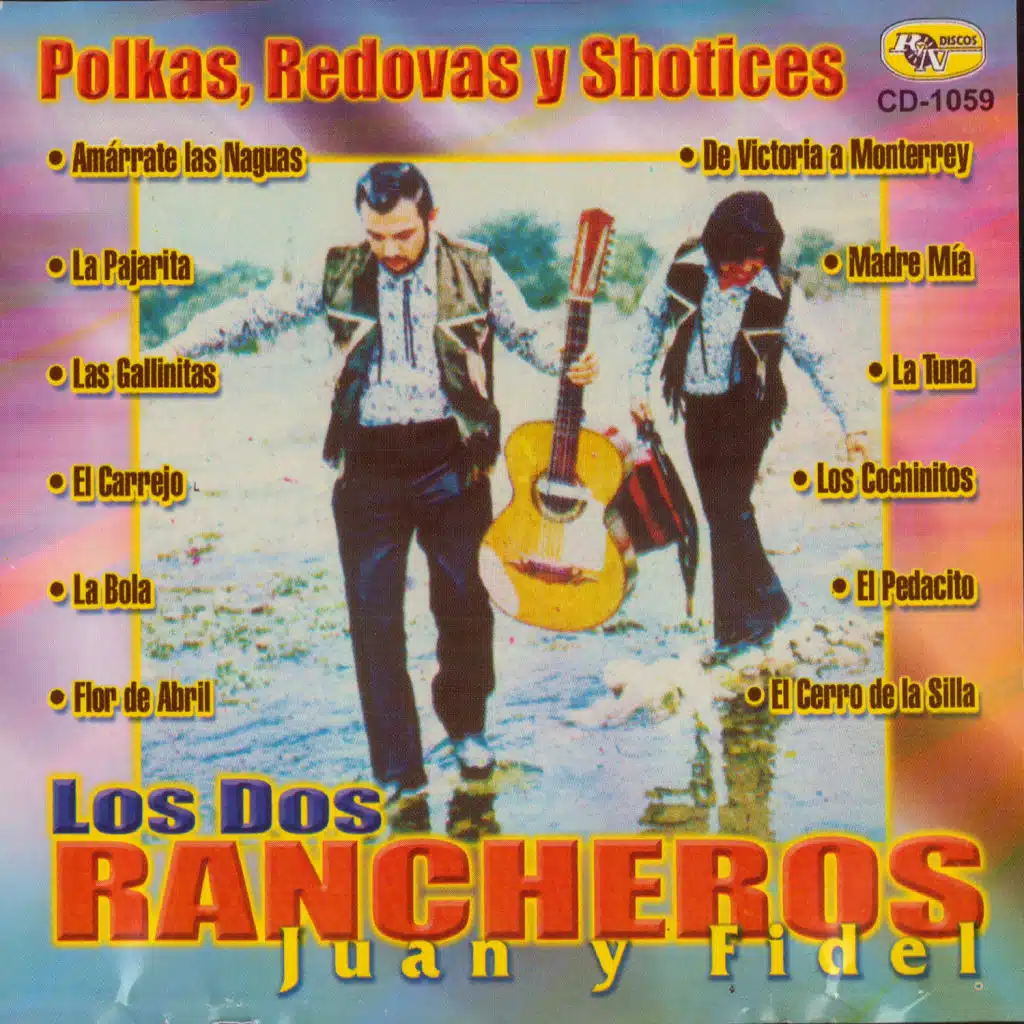 Polkas, Redovas y Shotices