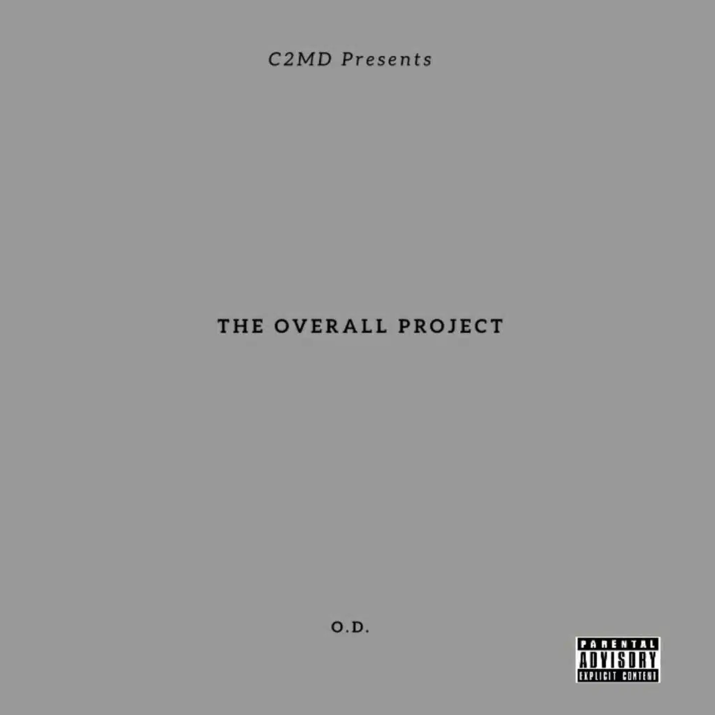 The Overall Project