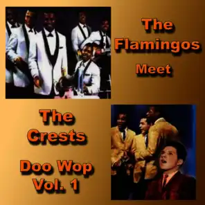 The Flamingos Meet the Crests Doo Wop, Vol. 1