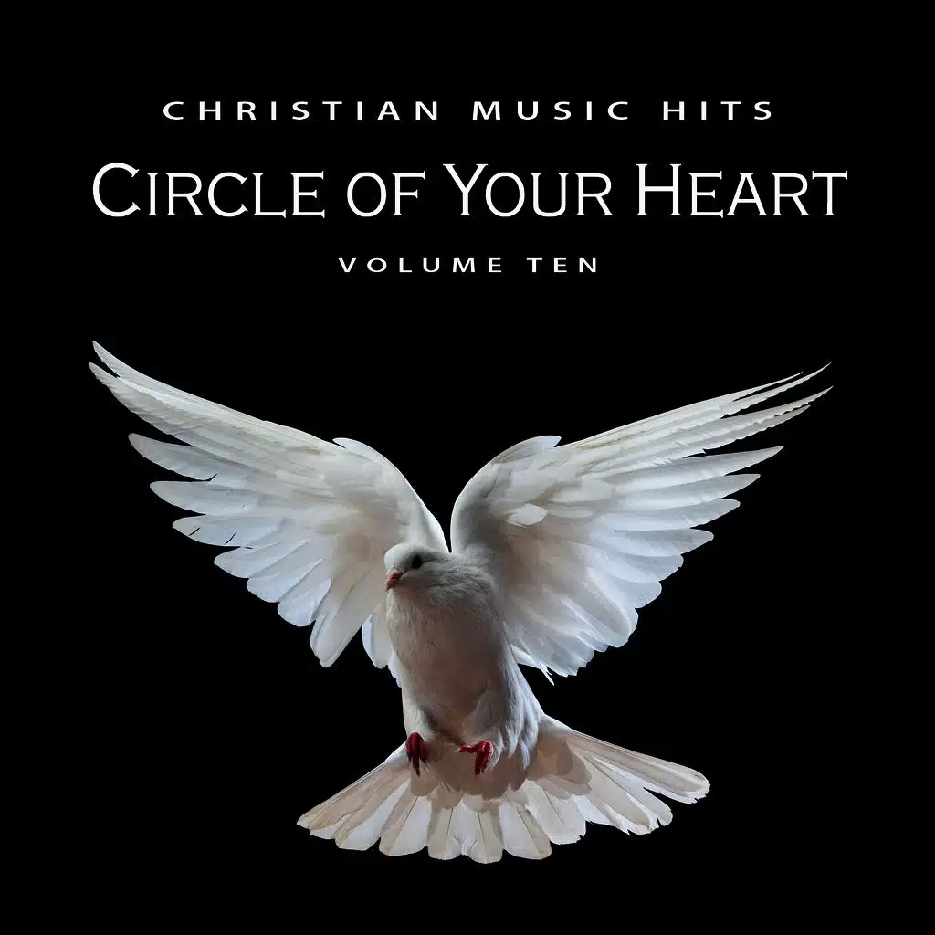 Christian Music Hits: Circle of Your Heart, Vol. 10