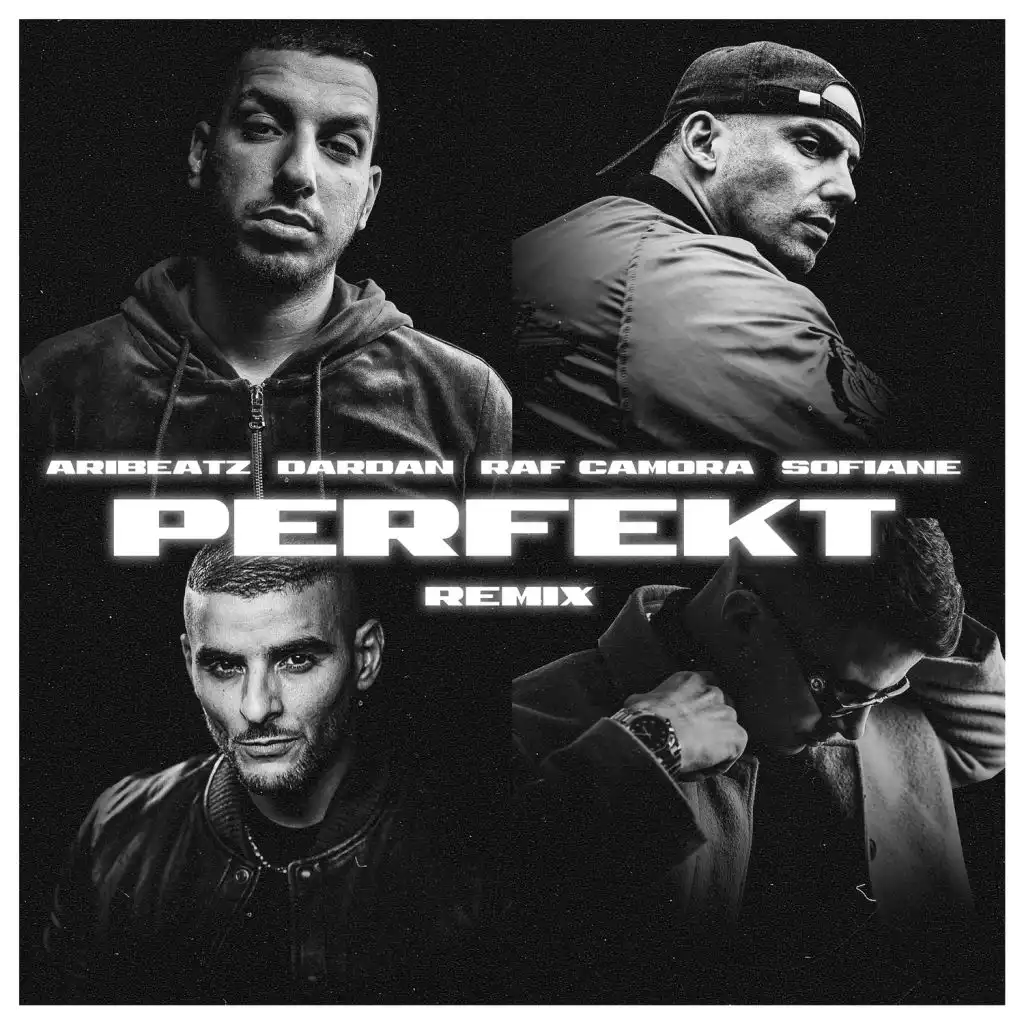 Perfekt (Remix) [feat. Dardan, RAF Camora & Sofiane]