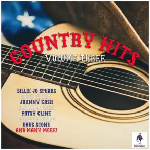 Country Hits - Volume Three