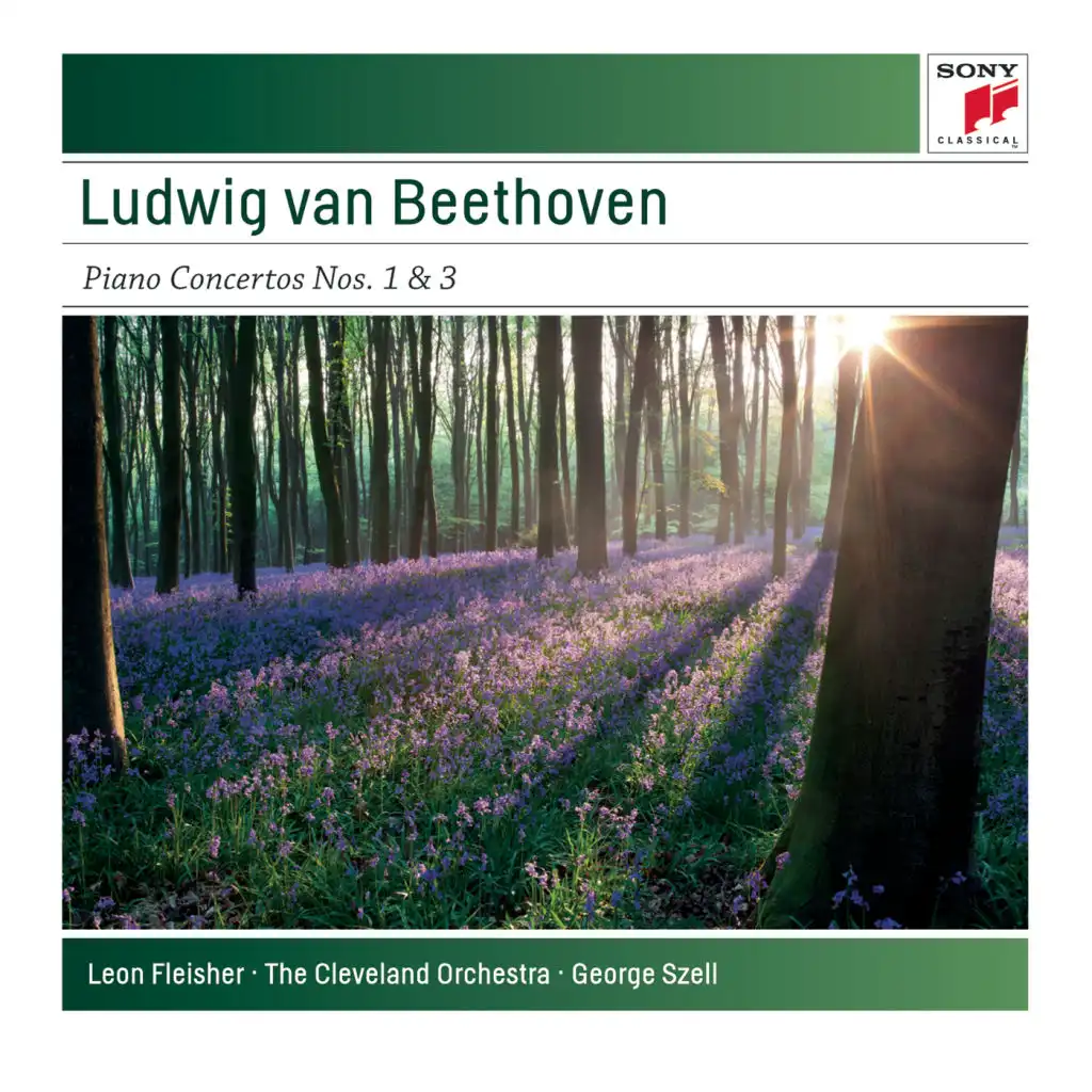 Piano Concerto No. 3 in C Minor, Op. 37: I. Allegro con brio