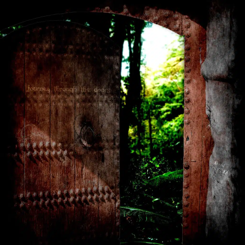 Journey Through the Doors