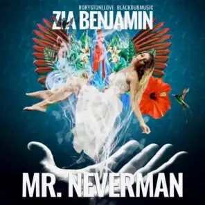 Mr. Neverman
